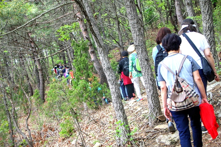 더블클릭을 하시면 이미지를 수정할 수 있습니다