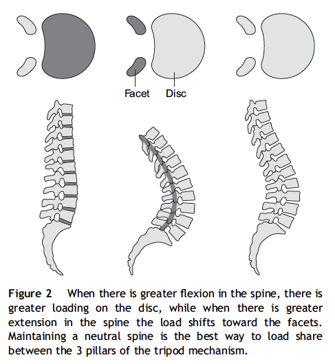 The neutral spine principle. 중립지대, 중립자세에 대한 정의와 개념 - therapeutic ...