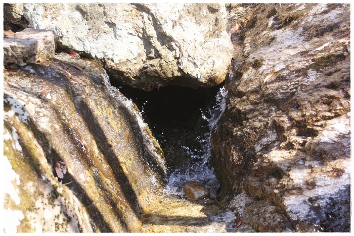 새콤달콤한 의상봉 계곡 따라...