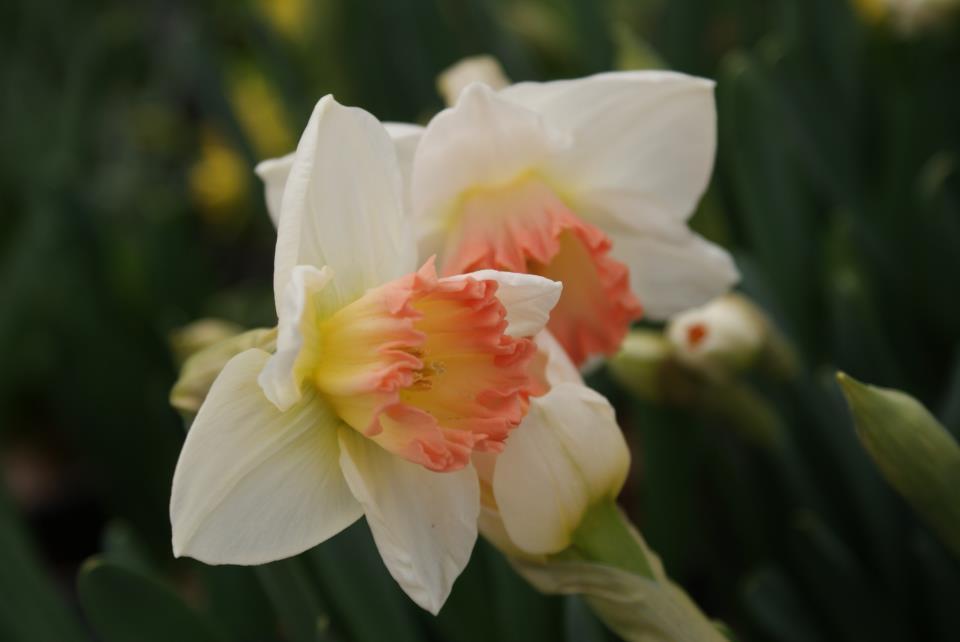 더블클릭을 하시면 이미지를 수정할 수 있습니다