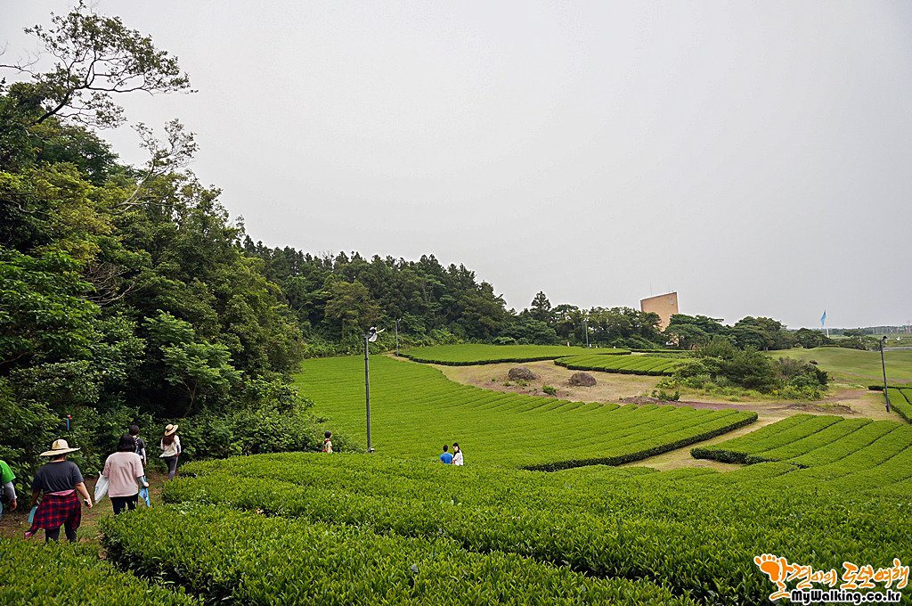 더블클릭을 하시면 이미지를 수정할 수 있습니다
