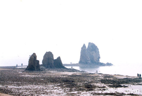 w-136 모세의 기적 제부도 바닷길 걷기