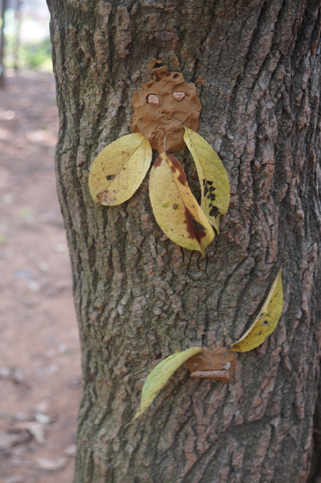 더블클릭을 하시면 이미지를 수정할 수 있습니다