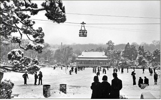 창경궁이 왜놈들에 의해 창경원이었던 시절