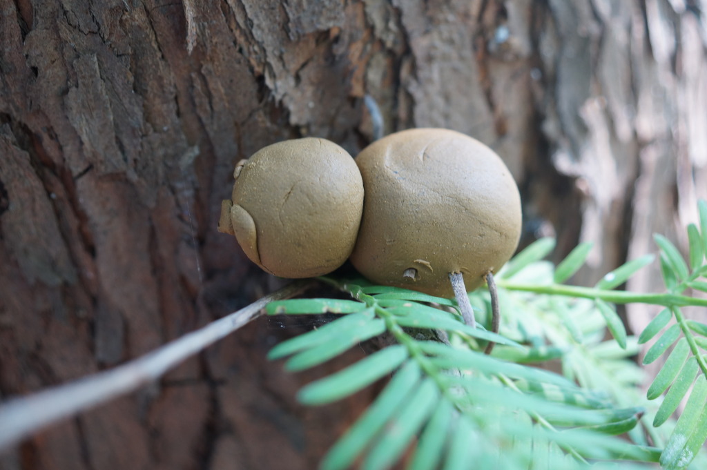 더블클릭을 하시면 이미지를 수정할 수 있습니다