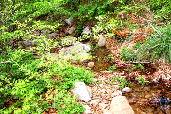 더블클릭을 하시면 이미지를 수정할 수 있습니다