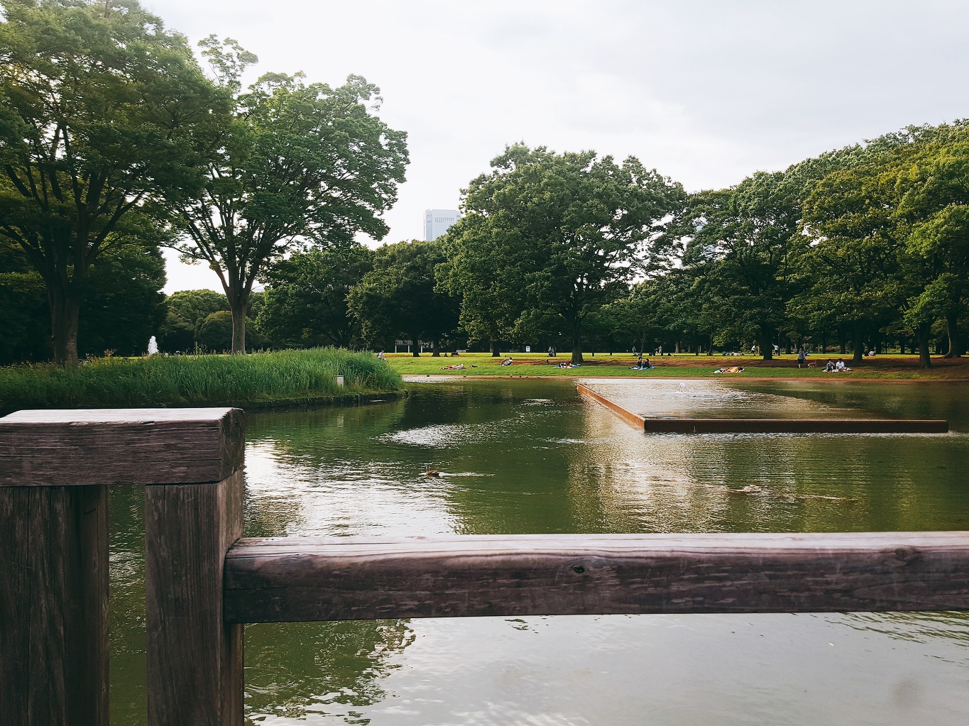 일본 여행 어디갈지 모르겠다고? 한달 동안 도쿄 조져버리기 3탄 - 하라주쿠/신주쿠 주변 - 막생정 - 쭉빵카페