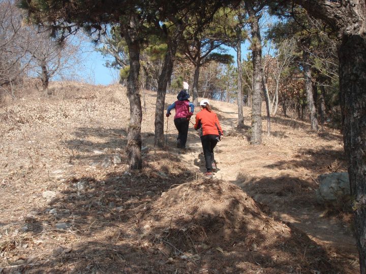 더블클릭을 하시면 이미지를 수정할 수 있습니다