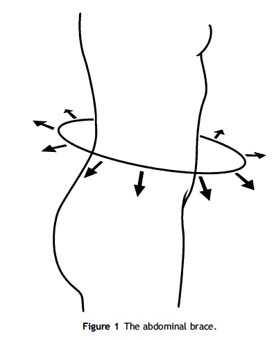 Abdominal discount bracing mcgill