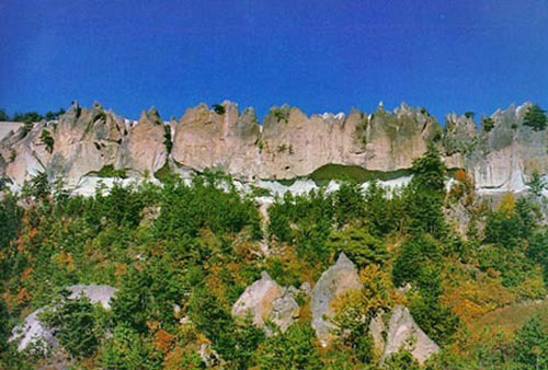 더블클릭을 하시면 이미지를 수정할 수 있습니다