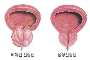더블클릭을 하시면 이미지를 수정할 수 있습니다