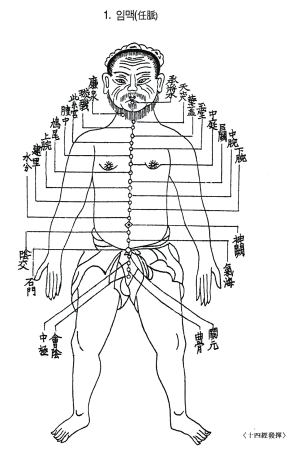 (14)임맥(任脈) - 경락경혈학 - 뜸사랑 대전본부