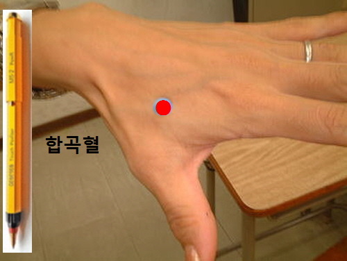 합곡혈 양지혈 양곡혈 (대장경원혈 / 합곡혈) - ├……경락 경혈자료 - 마라셀 힐링 라이프 & 몸신 자석건강법 따라하기