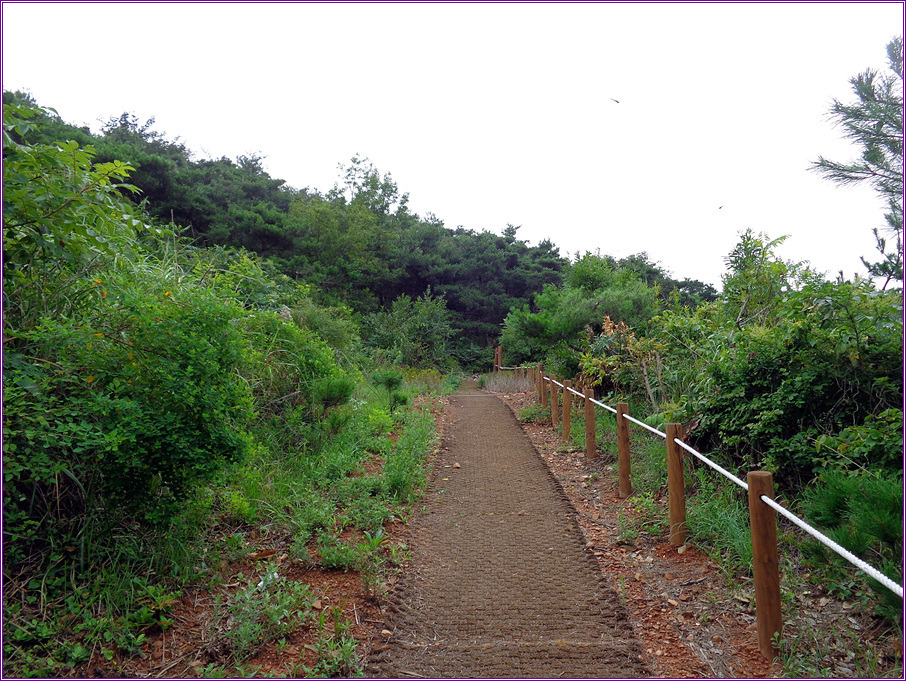 (2014. 8. 4) 화성 제부도 당산(62.2m), 탑재산(67m)........(1)