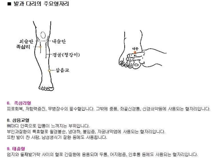 주요 혈자리 설명 - 혈자리 - 연수동 태국식중국마사지