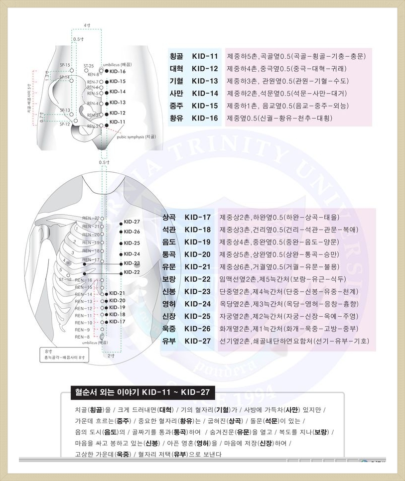 족소음신경(27) 혈자리 순서 입니다!! - 경락&경혈자료실 - 한국전통물리치료학회