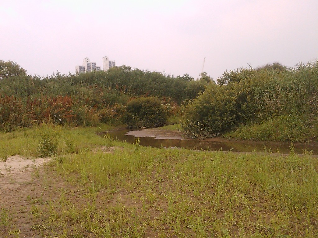 한강밑밤섬역사&생태탐험 [2012.6.21]