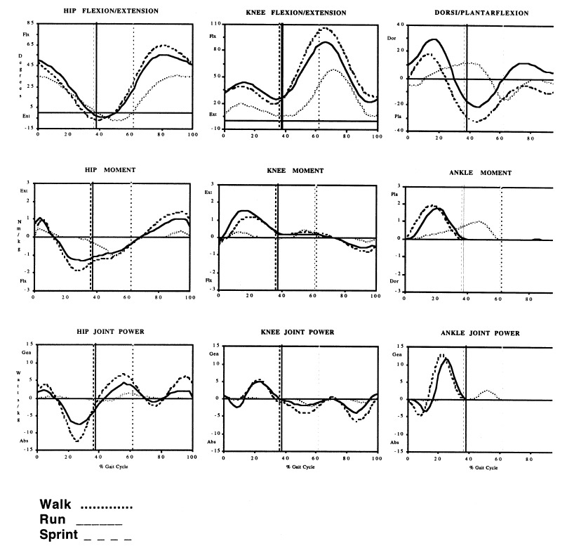 The biomechanics of running. normal gait, gait disturbance. 한글 파일 자료 짱 ...