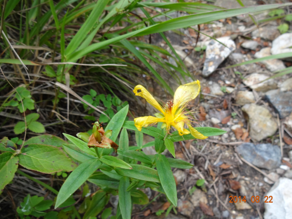 더블클릭을 하시면 이미지를 수정할 수 있습니다