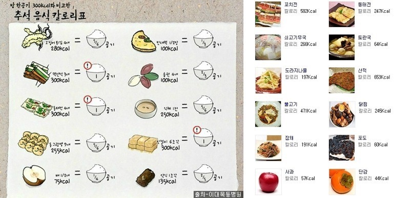음식의 열량(칼로리) 리스트 - ㆍ신박한 사진방 - 한류열풍 사랑