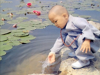 진면목 이미지