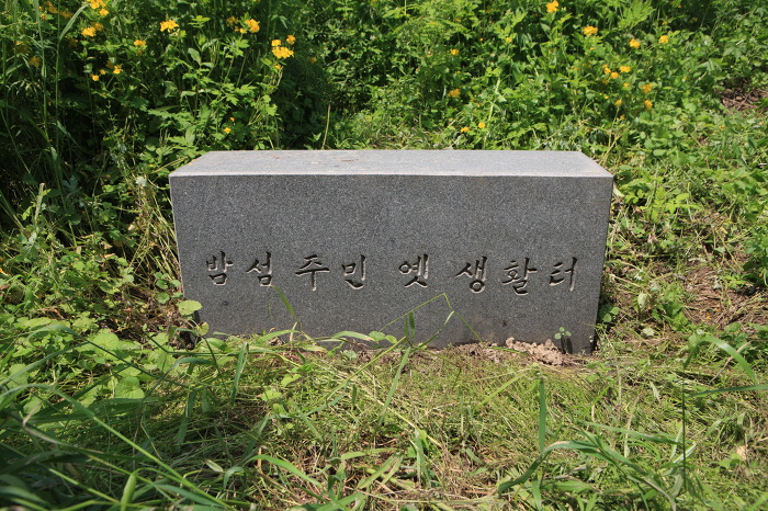 조선왕실의 뽕나무재배단지 밤섬