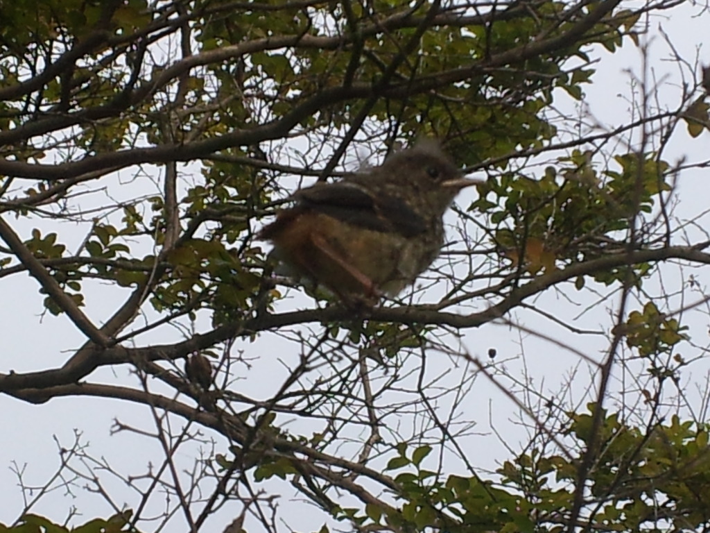 더블클릭을 하시면 이미지를 수정할 수 있습니다