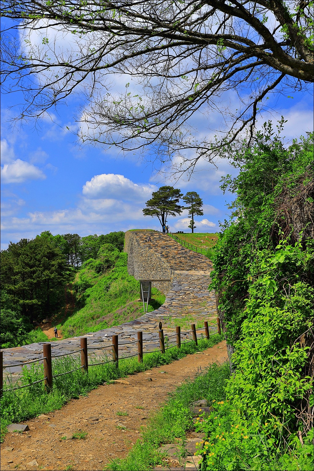 더블클릭을 하시면 이미지를 수정할 수 있습니다
