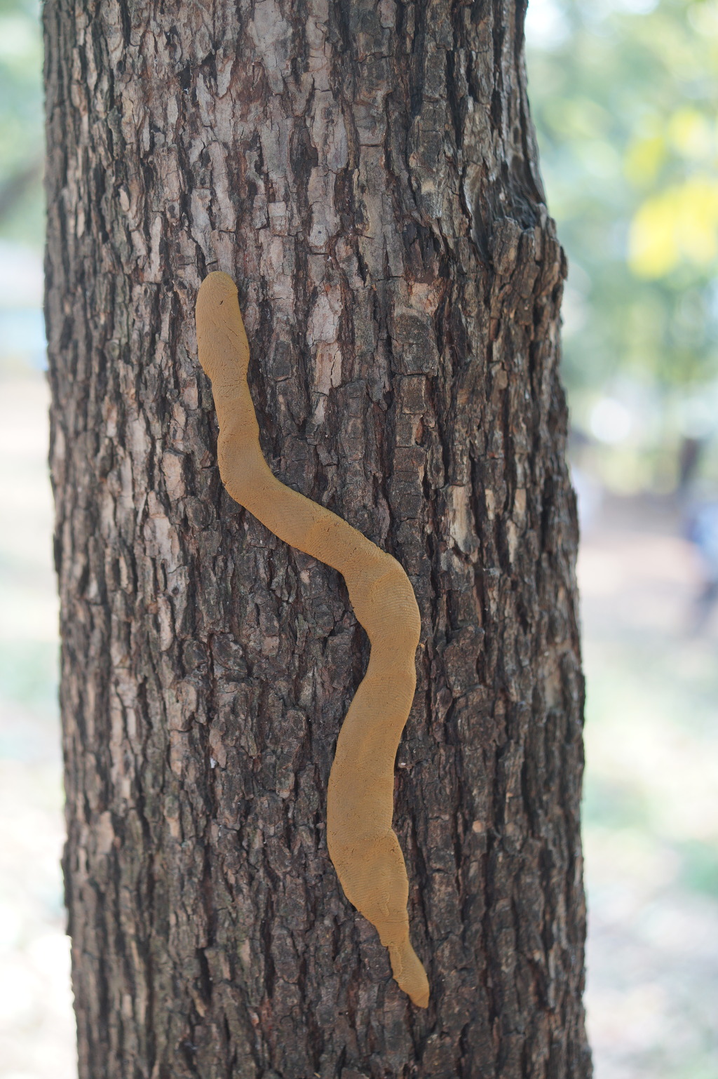 더블클릭을 하시면 이미지를 수정할 수 있습니다