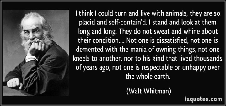 I Think I Could Turn And Live With Animals By Walt Whitman - 자유 게시판 - 발효  인문학, 읽나바