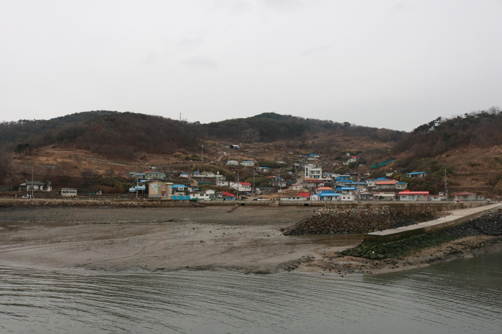 자생 변종을 둘이나 갖고 있는 야생화들의 천국, 풍도(‘18.3.19) - 산행 후기,여행 후기 - 도보여행(섬&산) 좋은사람들 ...