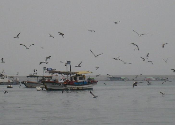 서산 갯마을/ 조미미
