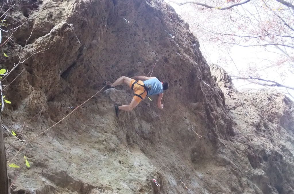 서충진님의글 -선운산에서-