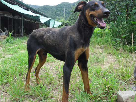 더블클릭을 하시면 이미지를 수정할 수 있습니다