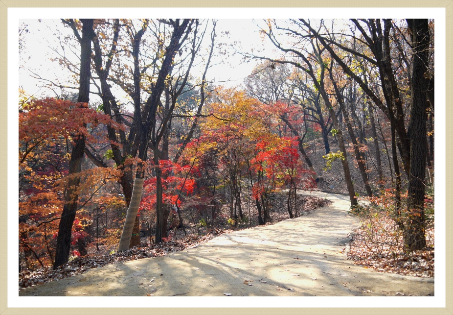 세계유산 창덕궁 후원 옥류천─금오 김종기 님