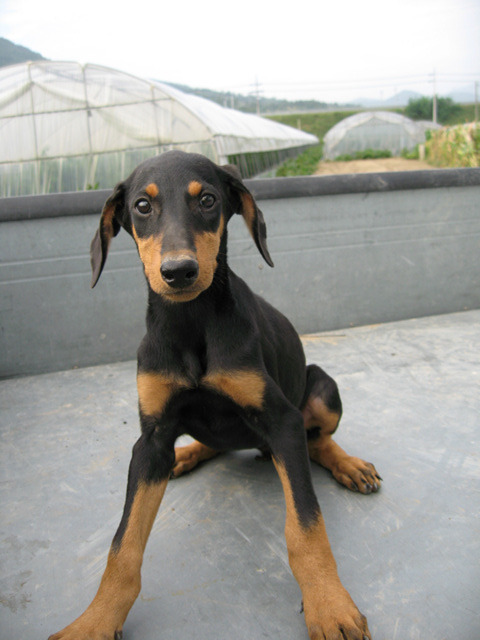 더블클릭을 하시면 이미지를 수정할 수 있습니다