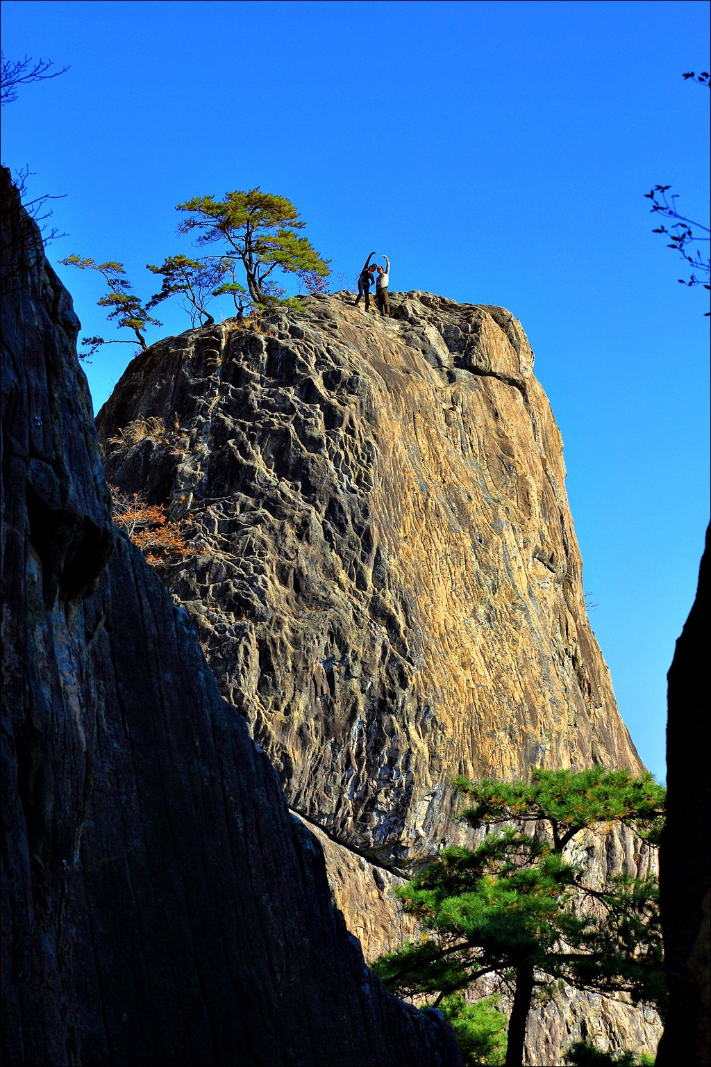 더블클릭을 하시면 이미지를 수정할 수 있습니다