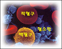 더블클릭을 하시면 이미지를 수정할 수 있습니다