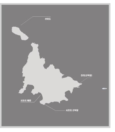 덕적도 선미도 불발 =＞ Plan B : 호젓한 잣나무 숲.