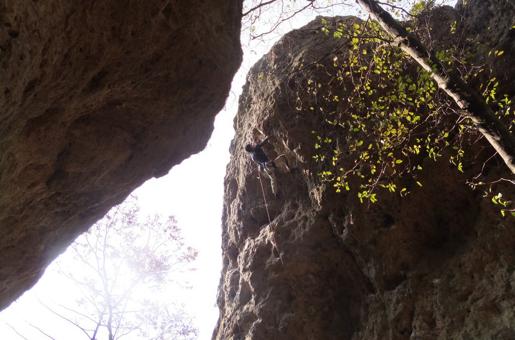 서충진님의글 -선운산에서-