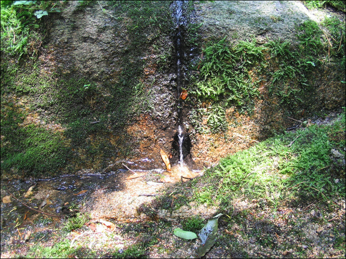 여자들의 시새움, 음문과 음골의 대결