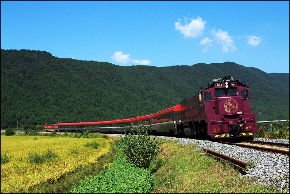 장항선 웅천역과 역 인근 들녘에서 촬영한 사진입니다 - 철도차량 (고속,일반) - Rail+ 철도동호회