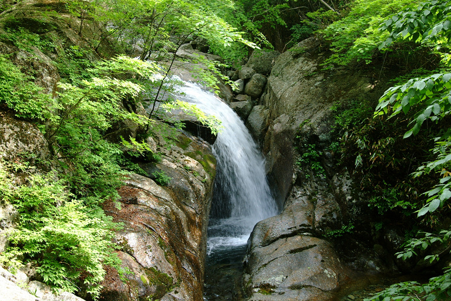 지리산 중봉골(5. 23-24)