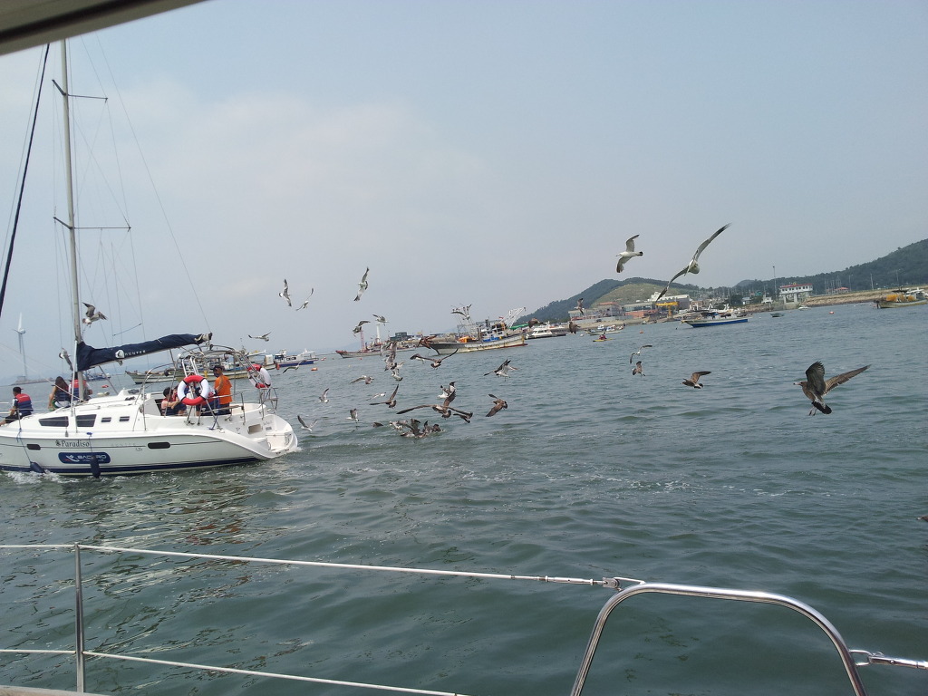 화성 전곡항요트체험하고왔어요