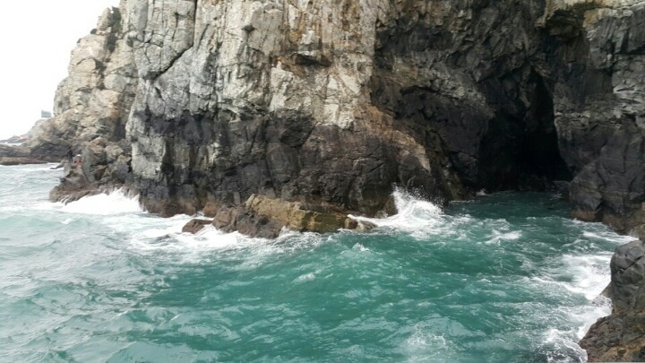 신년 첫줄조는 태종대 갯바위로