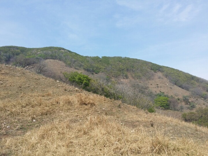 인천시 옹진군 덕적도~문갑도~선미도 섬 여행