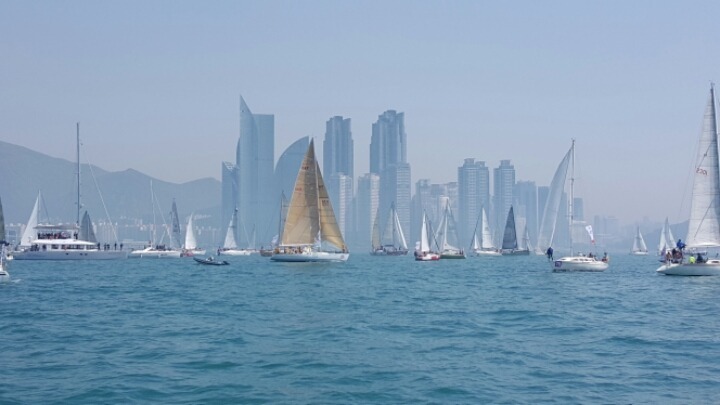 2016년 3월 정기세일링