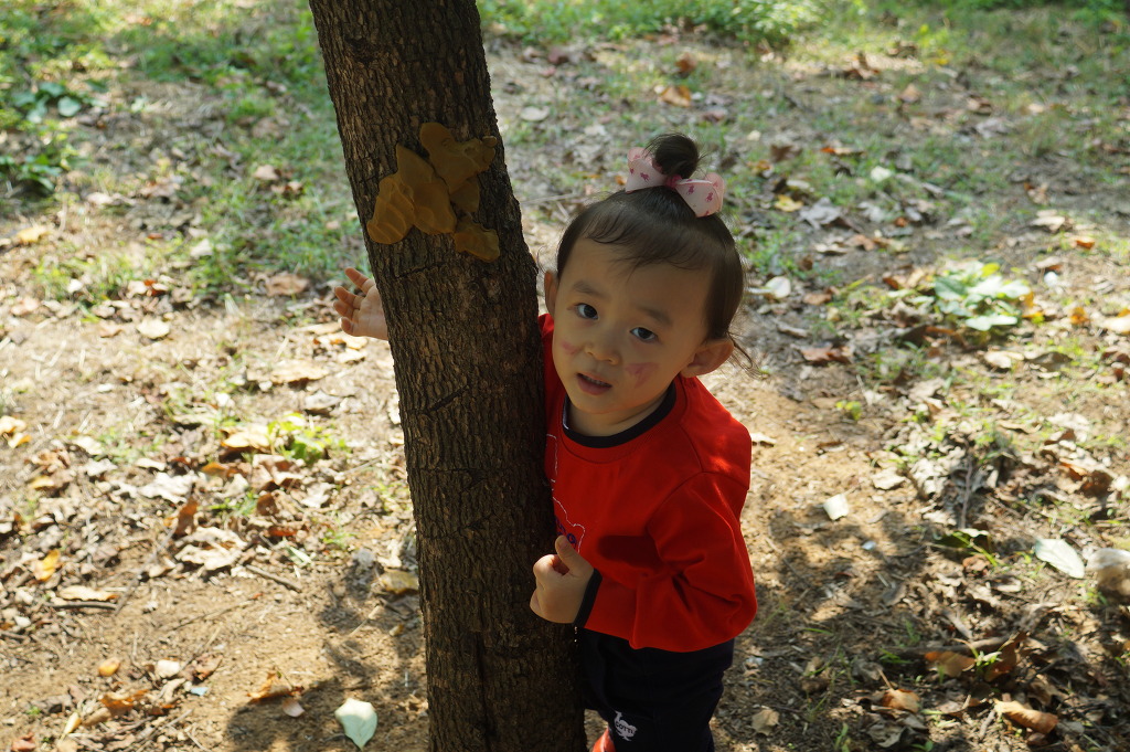 더블클릭을 하시면 이미지를 수정할 수 있습니다