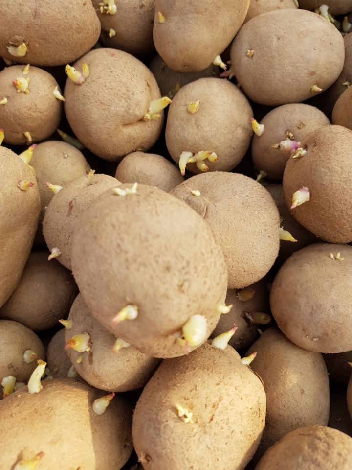 더블클릭을 하시면 이미지를 수정할 수 있습니다