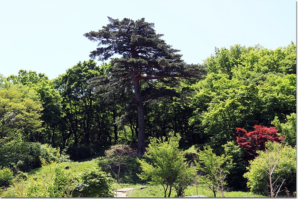 더블클릭을 하시면 이미지를 수정할 수 있습니다